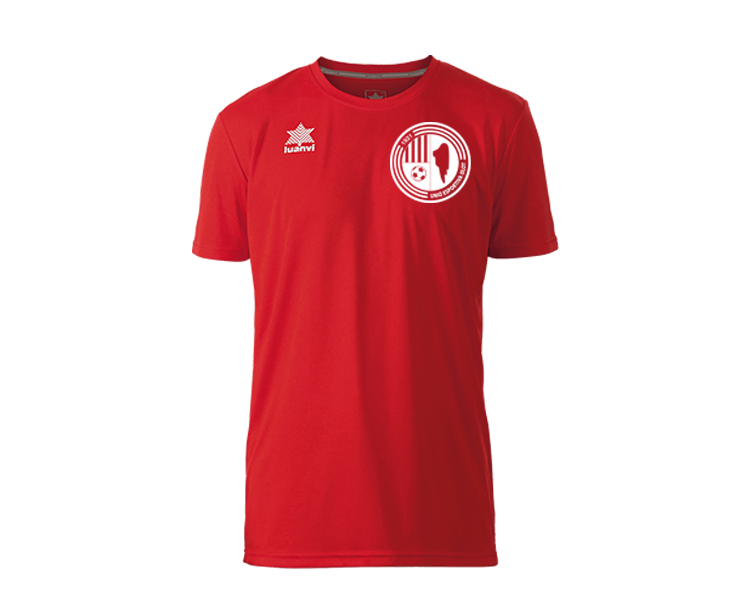 CAMISETA ENTRENAMIENTO LUANVI