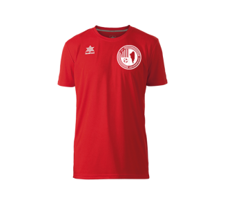 CAMISETA ENTRENAMENT LUANVI